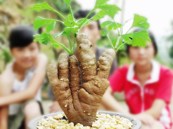 �c������D