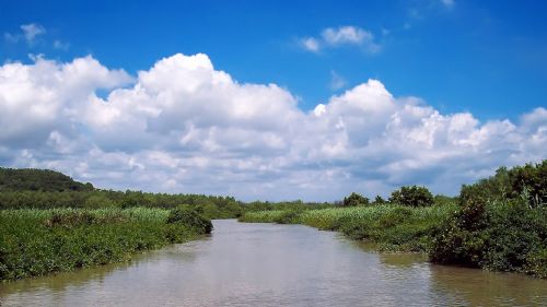 �c�����´��ڞg�[�DƬ