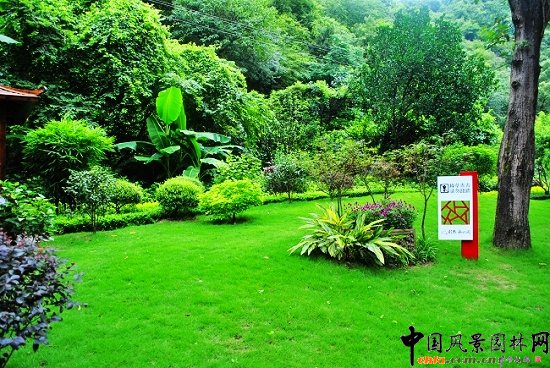 ������̩�������@