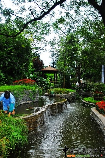 ������̩�������@