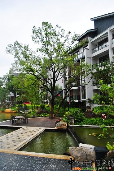 ������̩�������@