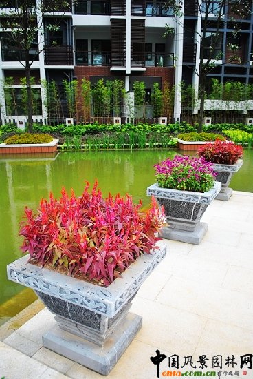 ������̩�������@