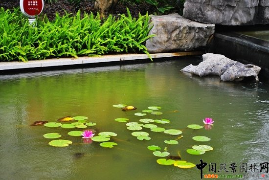 ������̩�������@