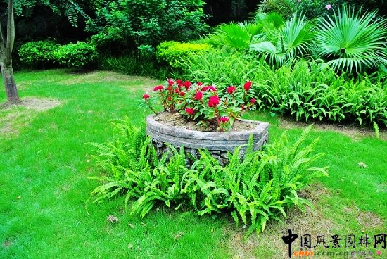 ������̩�������@