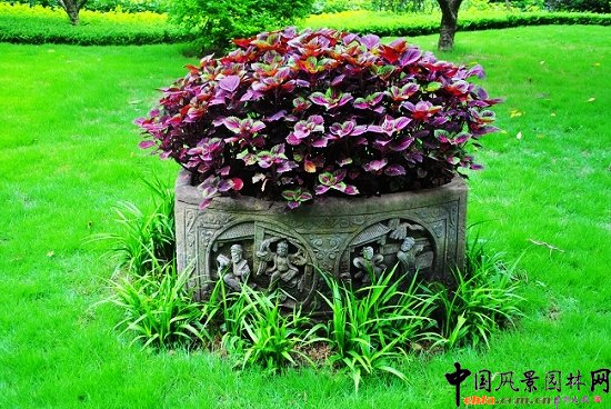 ������̩�������@