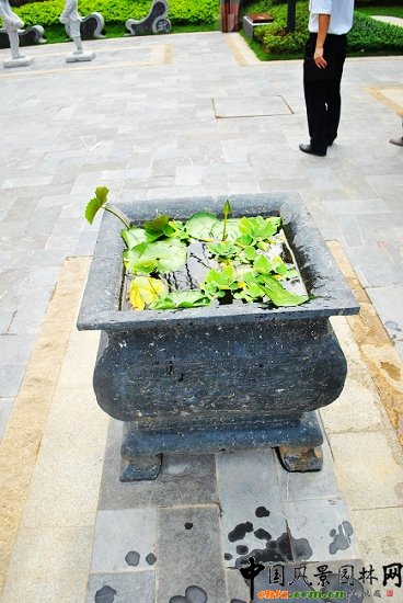 ��̩�������@