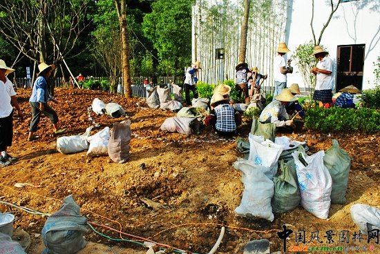 ������̩�������@