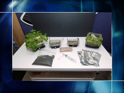 ��̫���r(n��ng)��(ch��ng)������ֲ������������@�àI(y��ng)�B(y��ng)