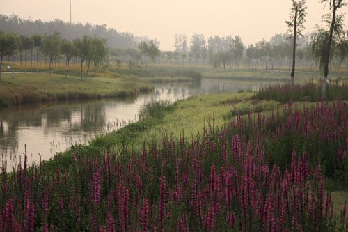 �c�����´��ڞg�[�DƬ