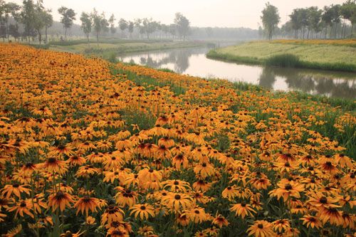 �c�����´��ڞg�[�DƬ