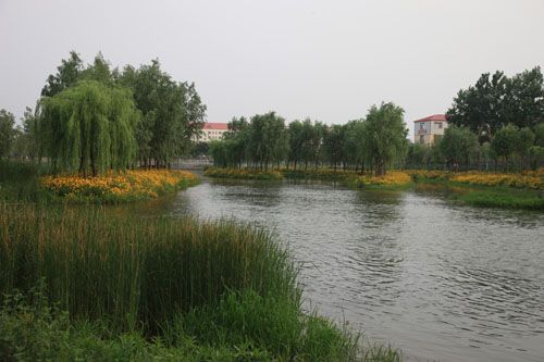 �c�����´��ڞg�[�DƬ