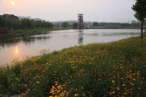 �c�����´��ڞg�[�DƬ