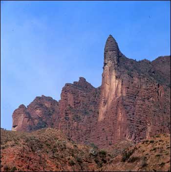 �M�D����������(gu��)��ɭ�ֹ��@ 