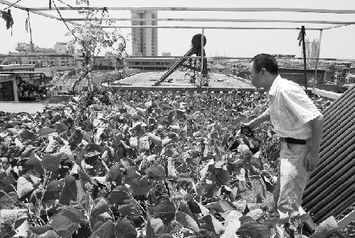 �㽭�������л��@���Εr�G�M���A