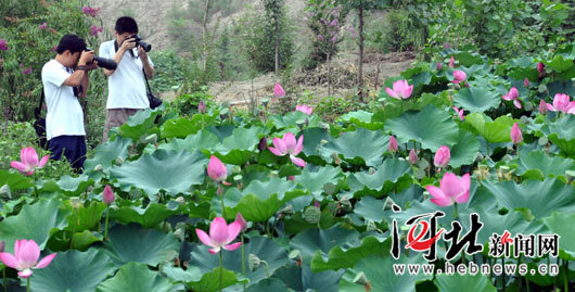 ���_�й��^Ȫ���@�ɻ�����`��