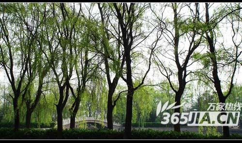 �Ϸ������Gɫ���� ռ��130����ˮ���@�µ��_��