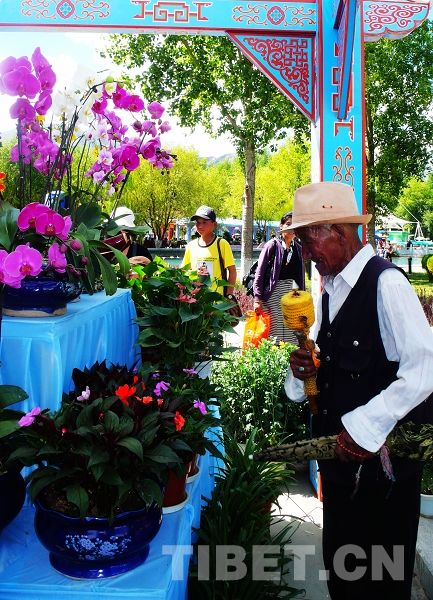 �����v���^��