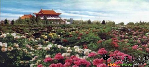 ����ĵ���@����ĵ��