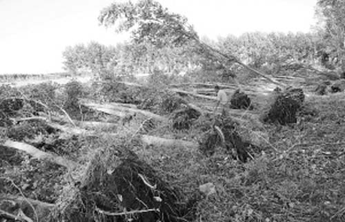 ���֣��ɻ���߅480�ô�䱻���L���� �����j�U