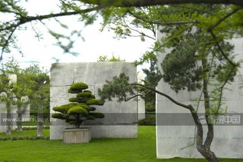 �c�����´��ڞg�[�DƬ