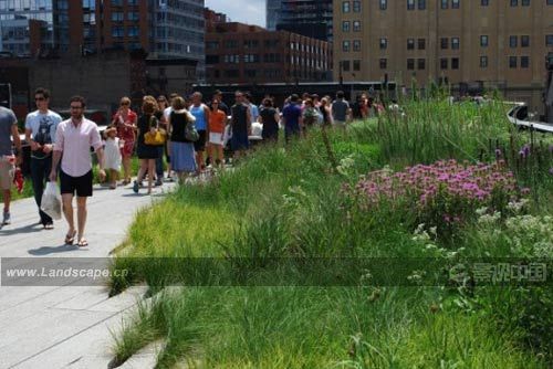 �c�����´��ڞg�[�DƬ