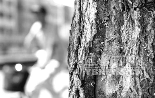 �Ӽ������x��Ű��ҧ֦�~ 3000���ľ�����ۡ�