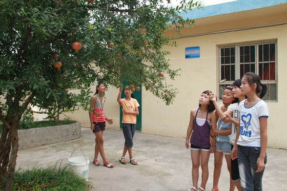 ��ꖴŝ�悶Y�Ӵ壺һ��ʯ���Y�����N������