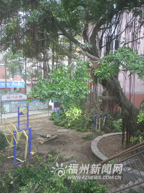 ���ݣ��Ř�Ӱ푲ɹ� �e���I��䏔���֦�����ӷ��h