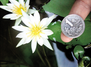 �B�T��С��˯ɏ���HһԪӲ�Ŵ� ���I(y��)��ʿ�y����Ʒ�N