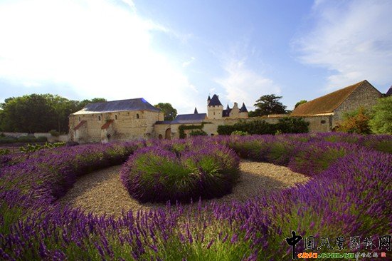 �@ˇ����ľS�o