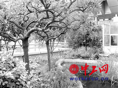 �����ϣ������һ��ÿ��������플Ӷ���һ�����@��