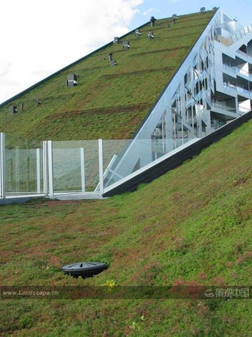 BIG��8̖(h��o)סլ�s�@˹���ļ{�S����ѾGɫ��픪�(ji��ng)