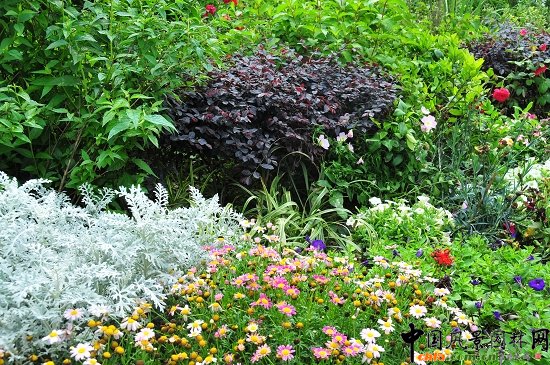 ���ݿ���·���^�G������һ�˶�