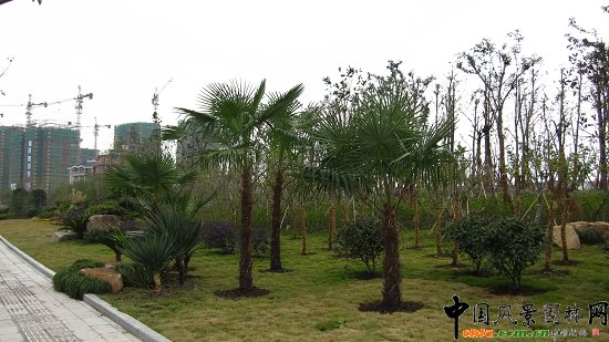 ���ݿ���·���^�G������һ�˶�