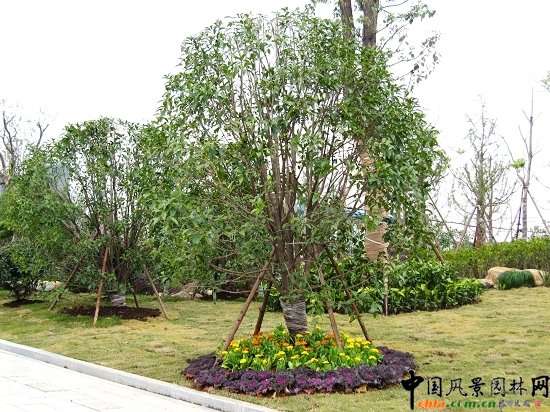 ���ݿ���·���^�G������һ�˶�