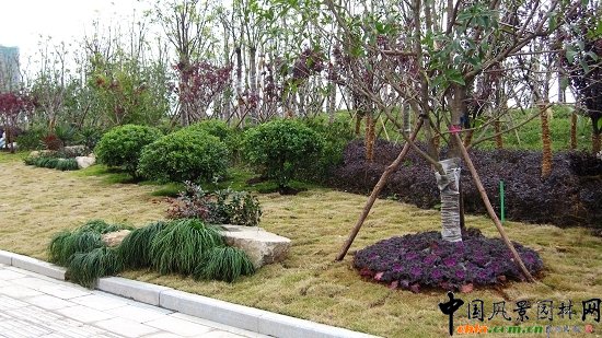 ���ݿ���·���^�G������һ�˶�