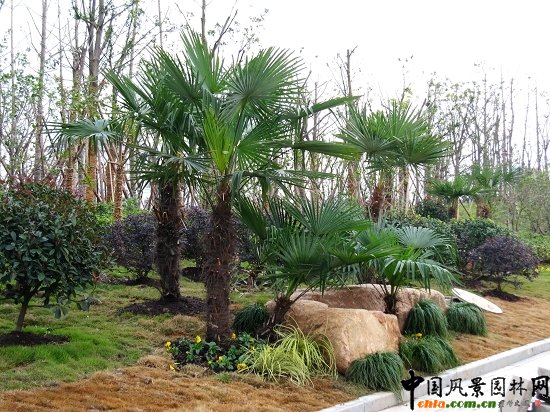 ���ݿ���·���^�G������һ�˶�