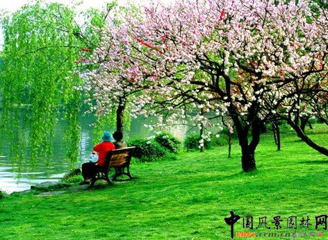 ����ʮ�����D���p