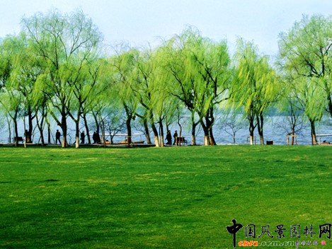 ����ʮ�����D���p