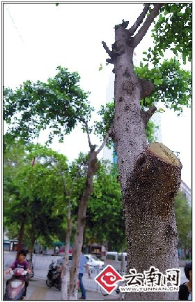 ���ϣ�ȱ����ʿ�����ס�С�~�Ř� �@�־֑Ҽt3ǧ���惴