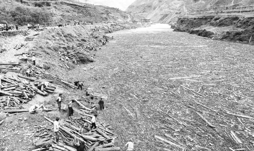 ��������ʯ�������oɽ��ֲ����Ҫ��