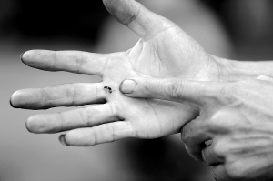 ���ϣ��󺵺��е��䡰�w���������x��