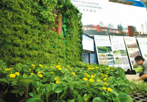 �����죬2010��򣨇��H�����Ј@�־��^�G���OӋ���Oʩչ�[���ڱ��Ї�չ�����_Ļ