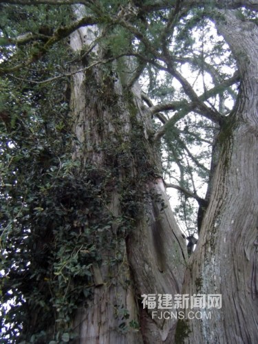 �������l�Fȫ�����ˮ������ ����2000����g