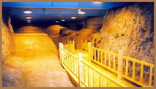 ��Ԫ���zַ����^���Gַ���oչʾ