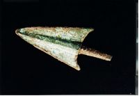 ǰ�������Ͳ�ߡ��~�