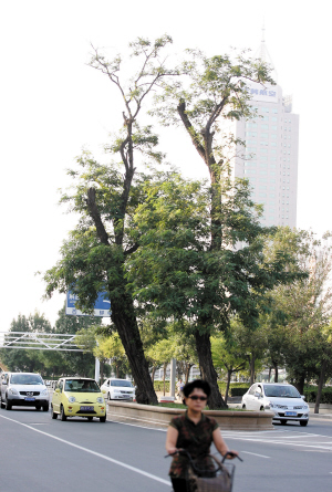 ������·�Ż��� 