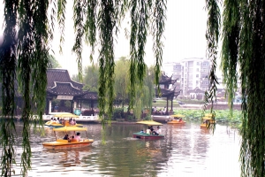 �P���Ќ�ʩϵ�оG������ �@�ֶ���լʢ�����جF