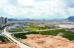 �c�����´��ڞg�[�DƬ