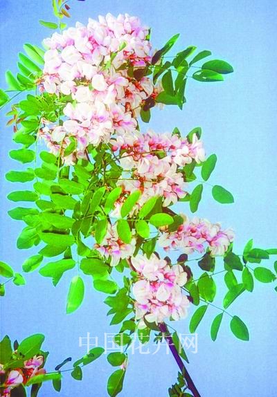 ���C����ˮ�ɹ�����3000���ꡮ���㻱�����D��